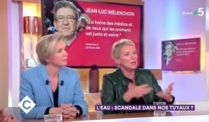 Jean-Luc Mélenchon a tourné un portrait pour l'émission Envoyé Spécial