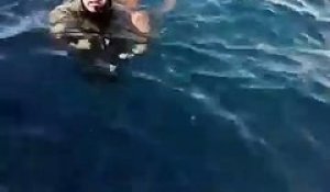 Un poulpe s'accroche à un plongeur