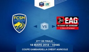 COUPE GAMBARDELLA-CA, 8es de Finale - FC Sochaux-Montbéliard / EA Guingamp - Dimanche 18 Mars à 14h45 (16)