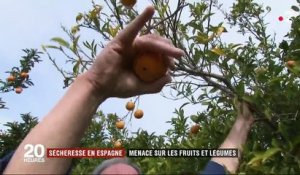 Sécheresse : les fruits et légumes menacés en Espagne