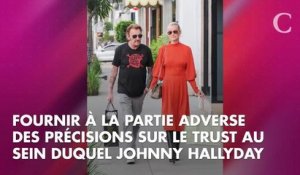Héritage de Johnny Hallyday : pourquoi la première audience a "bouleversé" Laeticia