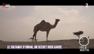 Partir - Le Sultanat d’Oman, un secret bien gardé