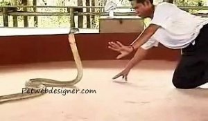 Il manipule et s'amuse avec son cobra et c'est impressionnant et terrifiant