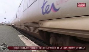 Hommage national / Sécurité / SNCF - Sénat 360 (28/03/2018)