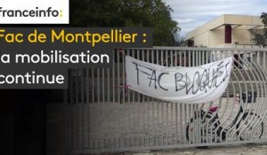 Fac  de  Montpellier : la mobilisation continue