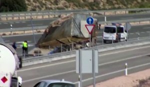 L'impressionnant sauvetage d'éléphants blessés dans un accident de la route en Espagne