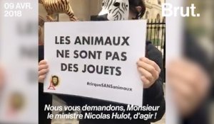 France : ces militants ne veulent plus d'animaux dans les cirques