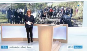 NDDL : manifestations à haut risque à Nantes