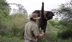 Cet homme maitrise la charge de l'éléphant