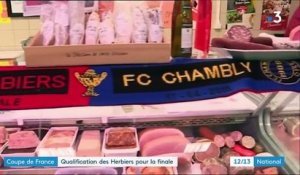 Football : Les Herbiers qualifié en finale de Coupe de France