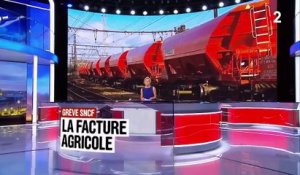 Grève SNCF : une perte pour l'agroalimentaire