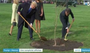 Donald Trump et Emmanuel Macron plantent un chêne à la Maison Blanche - ZAPPING ACTU DU 24/04/2018