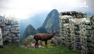 Le Chemin de l'Inca est l'une des 5 meilleures randonnées de la planète