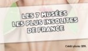 Les 7 musées les plus insolites de France