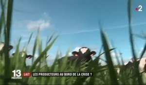 Lait : les producteurs au bord de la crise ?