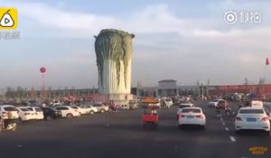 Ce chou géant mesure plus de 20m de haut en Chine !