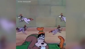 Joyeux Anniversaire Bob L Eponge Sur Orange Videos