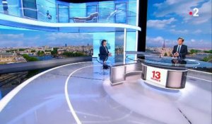 Une journaliste perd le fil de son duplex dans le "13 Heures" de France 2