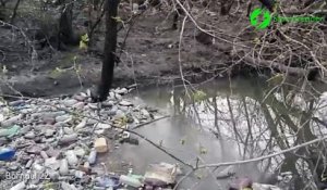 Une rivière Serbe couverte de milliers de bouteilles plastique... Pollution terrible
