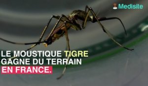 La liste des départements où le moustique tigre est implanté en France