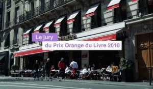 Les délibérations du jury du Prix Orange du Livre 2018 - lecteurs.com