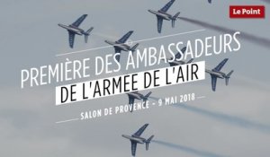 Première des ambassadeurs de l'armée de l'air - Salon de Provence 2018