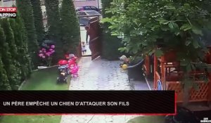 Un père empêche un chien d’attaquer son fils (Vidéo)