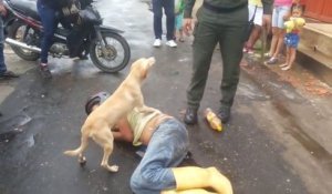 Un chien protège son maître ivre et endormi dans une rue