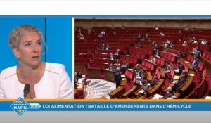 Divulgation à un lobby d'un amendement interdisant le glyphosate: Batho dénonce une "ingérence grave dans la souveraineté du Parlement"