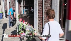 Tueur de Liège : polémique sur la permission de sortie de Benjamin Herman