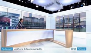Réforme de l'audiovisuel public : Françoise Nyssen dévoile les premières orientations