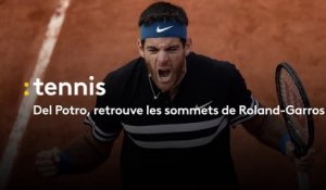 Del Potro, retrouve les sommets de Roland-Garros