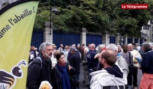 Quimper. 200 personnes pour soutenir les apiculteurs