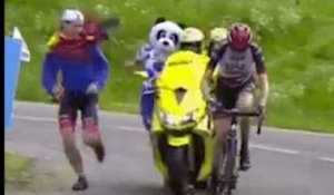 Ce panda n'aurait pas dû poursuivre un coureur au Critérium du Dauphiné