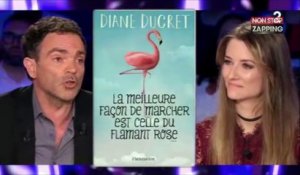 ONPC : Yann Moix dézingue le livre de Diane Ducret (vidéo)