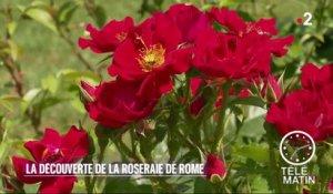 Sans frontières - Rome  :  la roseraie de la ville