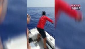 Des pêcheurs se font voler leur prise par un requin (vidéo)