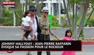 Johnny Hallyday : Jean-Pierre Raffarin évoque sa passion pour le rockeur (Vidéo)