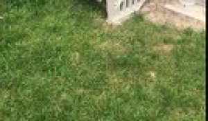 A 21 Mois Ce Bebe Escalade Une Double Barriere De Securite Tel Un Acrobate Sur Orange Videos