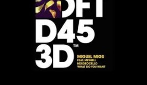 Miguel Migs featuring Meshell Ndegeocello 'What Do You Want' (Rodriguez Jr Remix)