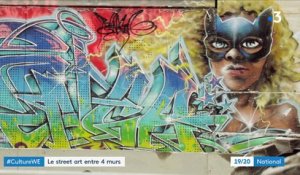 Culture : le street art s'invite dans les galeries d'art
