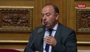 Loi Agriculture : le sénateur (LR) Laurent Duplomb dénonce la "mafia des centrales d'achats" de la grande distribution