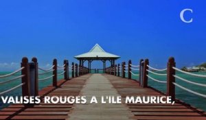 PHOTOS. Miss France 2019 : les 30 candidates sont arrivées à l'île Maurice