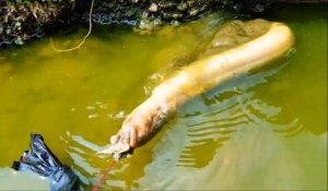 Il sort un animal monstrueux d'un trou dans une rivière... Anguille impressionnante