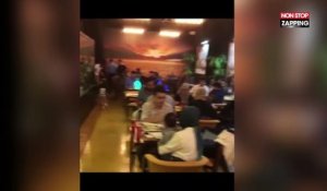 Turquie : Dans ce bar à chicha, un lion en cage divertit les clients (Vidéo)