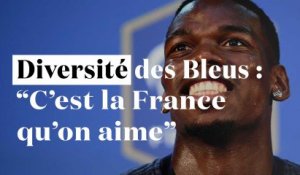 "Une belle France" : les mots touchants de Pogba sur la diversité des Bleus