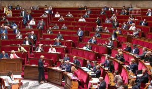 1ère séance : Pour une démocratie plus représentative, responsable et efficace (projet de loi constitutionnelle) (suite) (Avant l'art. 1er, adt 1246 à adt 1212) - Mercredi 11 juillet 2018