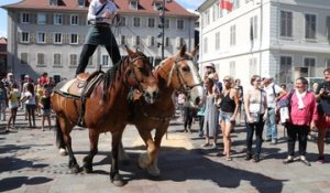 Urbacavale: quand les chevaux arrivent en ville