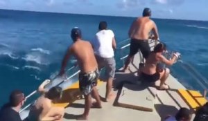 Ils s'amusent à prendre les vagues géantes dans leur yacht : impressionnant