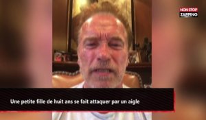 Donald Trump : Quand Arnold Schwarzenegger le compare à une "petite nouille molle" (Vidéo)